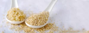 بذر کینوا موجود در شامپو حجم دهنده ایوروشه - گالری لیلیوم