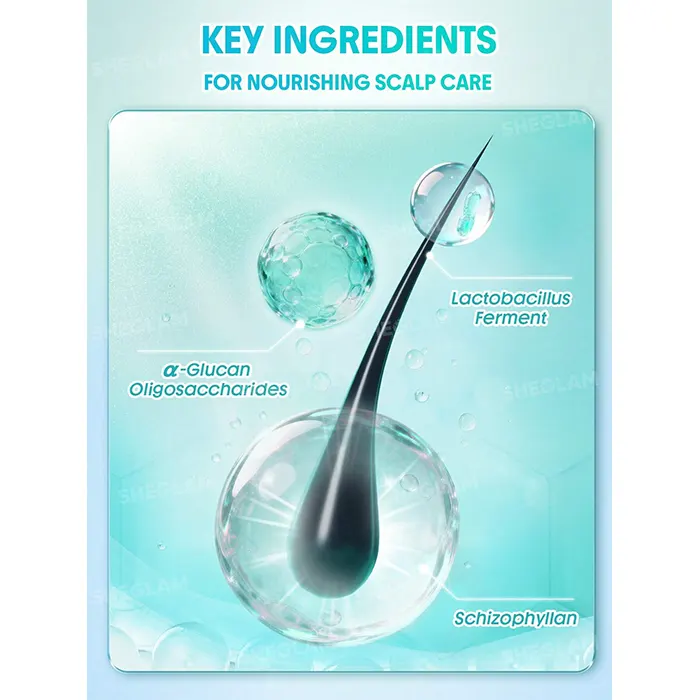 شامپو خشک مینتی فرش شیگلم-گالری لیلیوم