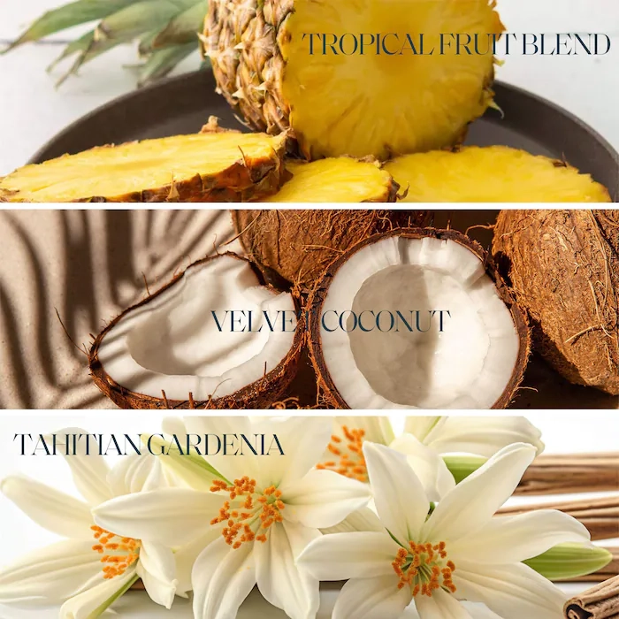 موس برنزه کننده tropical colada سنت تروپز - گالری لیلیوم (3)